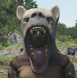 akte_exp3781_profilbild_test