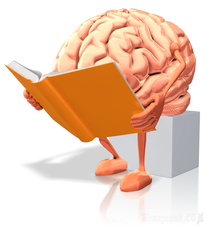 brain_rules