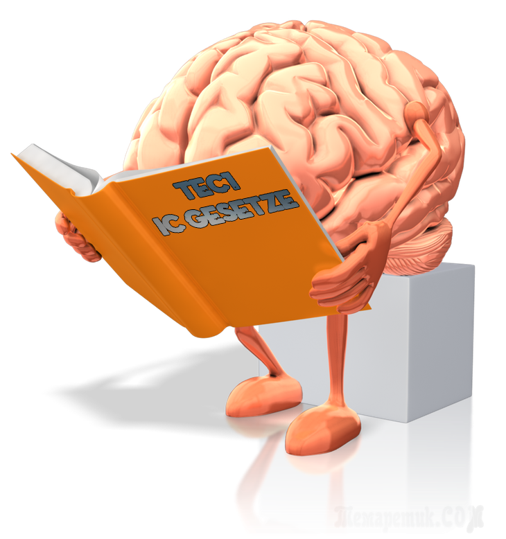 brain_rules_tec1